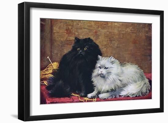 BW Persian Cats-null-Framed Art Print