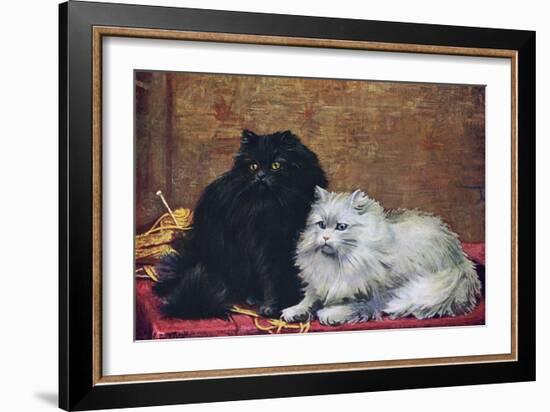 BW Persian Cats-null-Framed Art Print