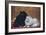 BW Persian Cats-null-Framed Art Print