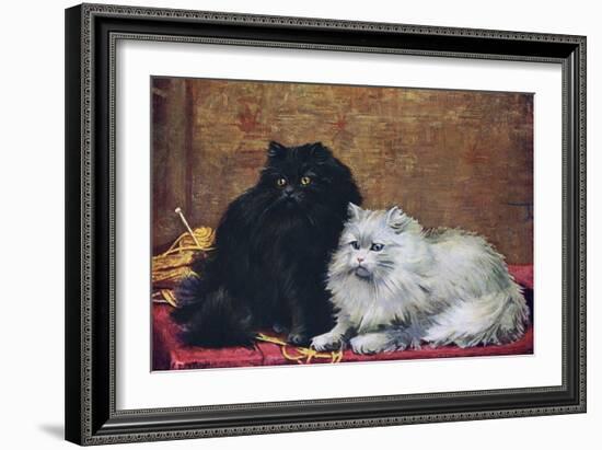 BW Persian Cats-null-Framed Art Print