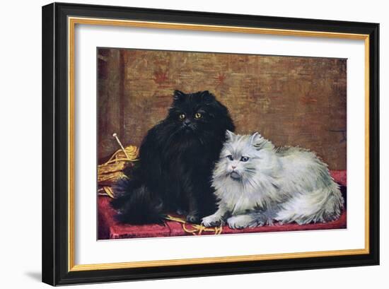 BW Persian Cats-null-Framed Art Print