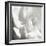 BW Rose Sq I-Alan Hausenflock-Framed Photographic Print