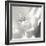 BW Rose Sq II-Alan Hausenflock-Framed Photographic Print