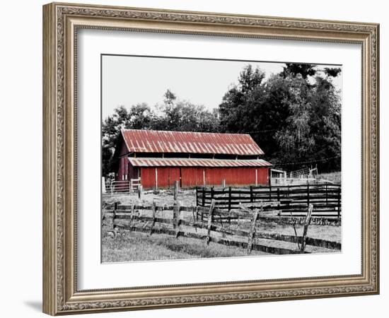 BW Rustic Barn-Gail Peck-Framed Art Print