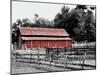 BW Rustic Barn-Gail Peck-Mounted Art Print