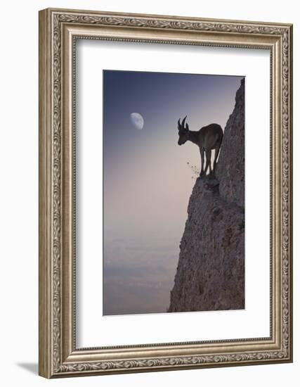 By a Bouquet of Flowers-Renato J. López-Framed Photographic Print