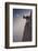 By a Bouquet of Flowers-Renato J. López-Framed Photographic Print