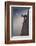 By a Bouquet of Flowers-Renato J. López-Framed Photographic Print