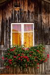Geranium in Front of Window-By-Photographic Print