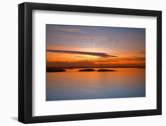 By Sunset-Piotr Krol (Bax)-Framed Photographic Print