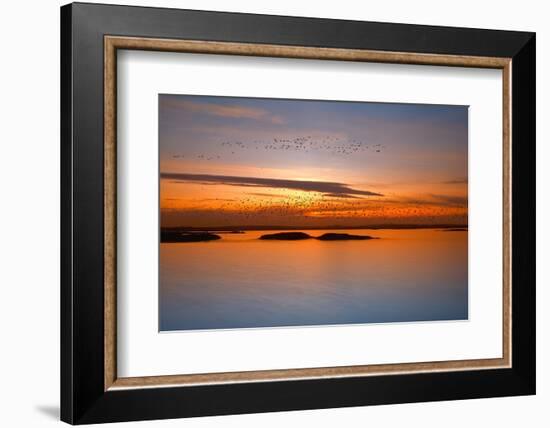 By Sunset-Piotr Krol (Bax)-Framed Photographic Print