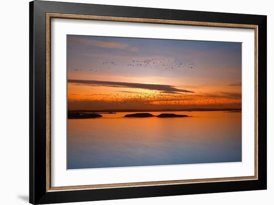 By Sunset-Piotr Krol (Bax)-Framed Photographic Print