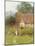 By the Cottage Gate-Helen Allingham-Mounted Giclee Print
