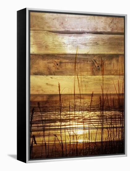 By The Grass Sunset Wood-Gail Peck-Framed Stretched Canvas