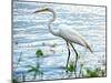 By the Lake Egret-Bruce Nawrocke-Mounted Art Print