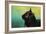 By the Light of the Sea-Jai Johnson-Framed Giclee Print