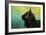 By the Light of the Sea-Jai Johnson-Framed Giclee Print