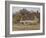 By the Old Cottage-Helen Allingham-Framed Giclee Print