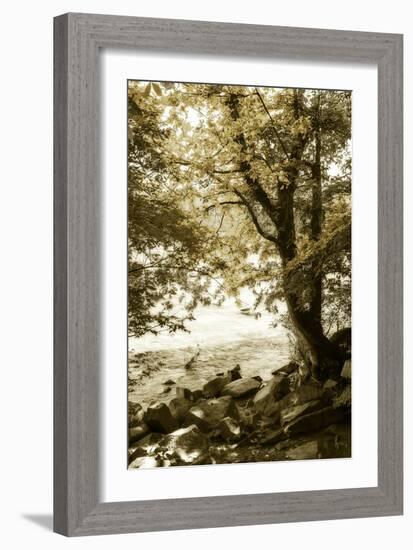 By the River Wide I-Alan Hausenflock-Framed Photographic Print