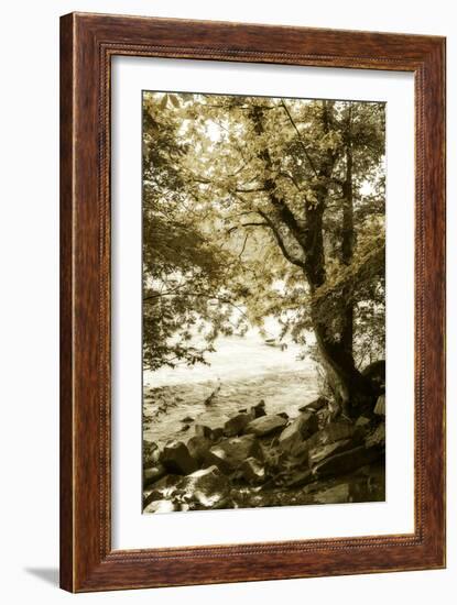 By the River Wide I-Alan Hausenflock-Framed Photographic Print