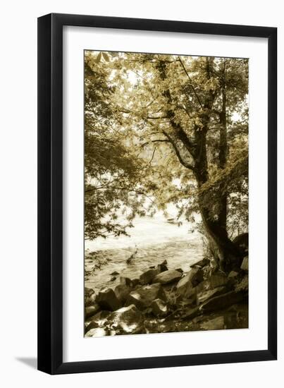 By the River Wide I-Alan Hausenflock-Framed Photographic Print