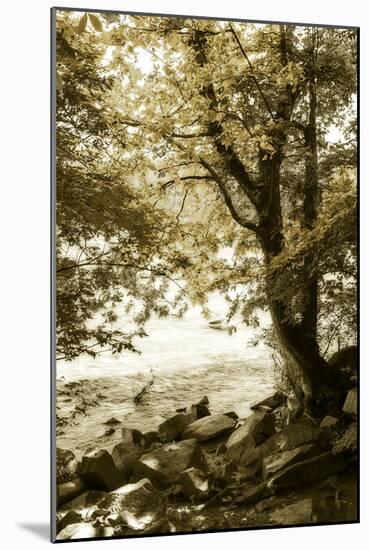 By the River Wide I-Alan Hausenflock-Mounted Photographic Print