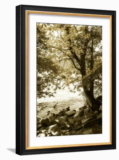 By the River Wide I-Alan Hausenflock-Framed Photographic Print