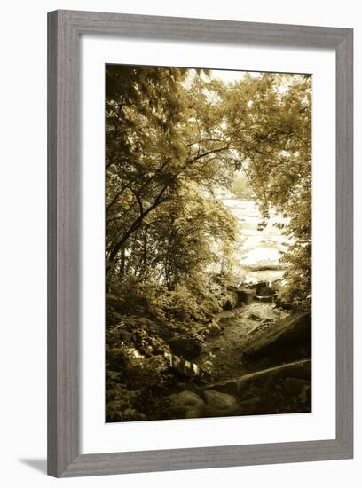 By the River Wide II-Alan Hausenflock-Framed Photographic Print