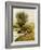 By the Riverside-Emile Claus-Framed Giclee Print