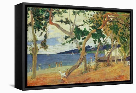 By the Seashore, Martinique, 1887-Paul Gauguin-Framed Premier Image Canvas