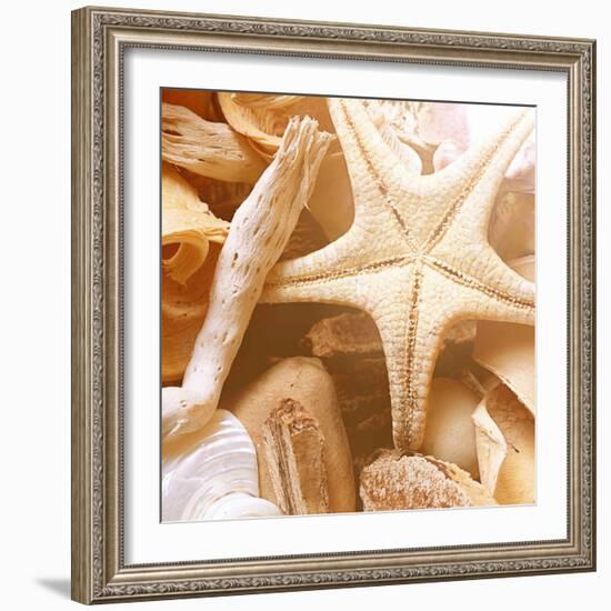 By the Seashore Square I-Susan Bryant-Framed Photographic Print