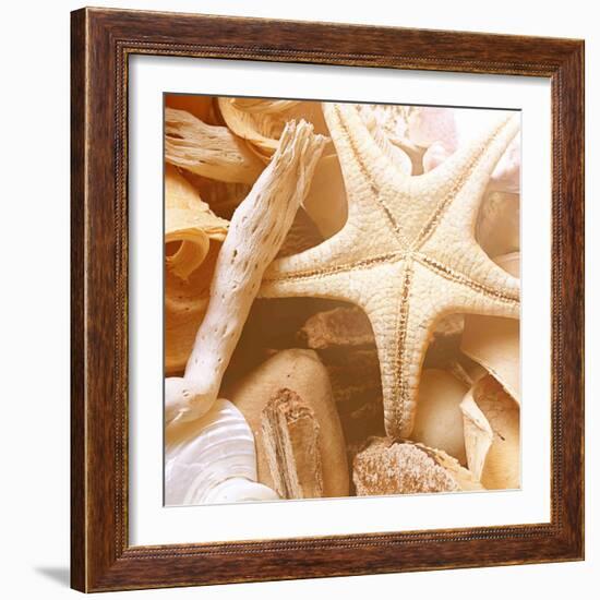 By the Seashore Square I-Susan Bryant-Framed Photographic Print