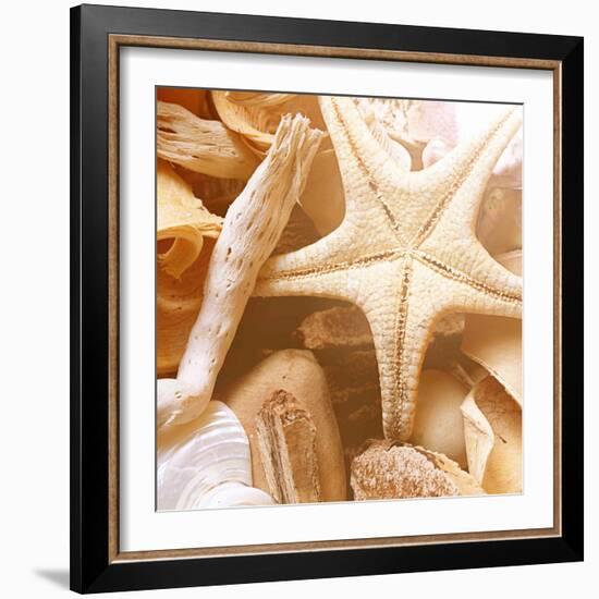 By the Seashore Square I-Susan Bryant-Framed Photographic Print