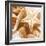 By the Seashore Square I-Susan Bryant-Framed Photographic Print