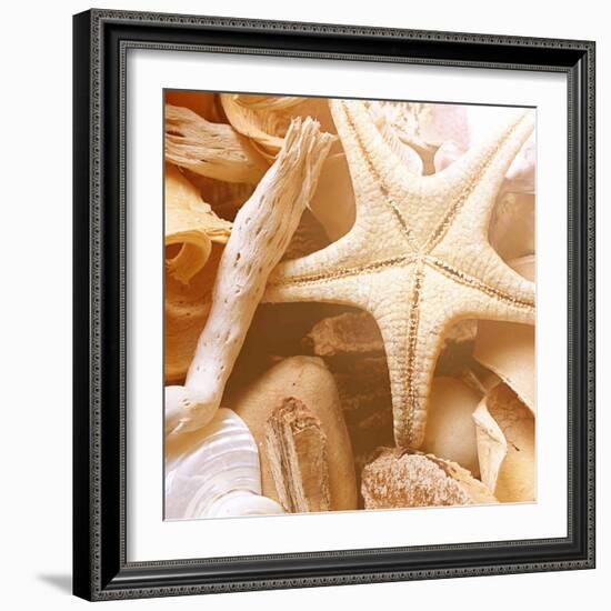 By the Seashore Square I-Susan Bryant-Framed Photographic Print