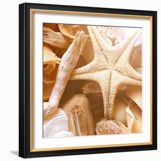 By the Seashore Square I-Susan Bryant-Framed Photographic Print