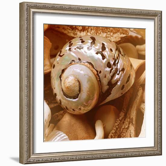 By the Seashore Square II-Susan Bryant-Framed Photographic Print