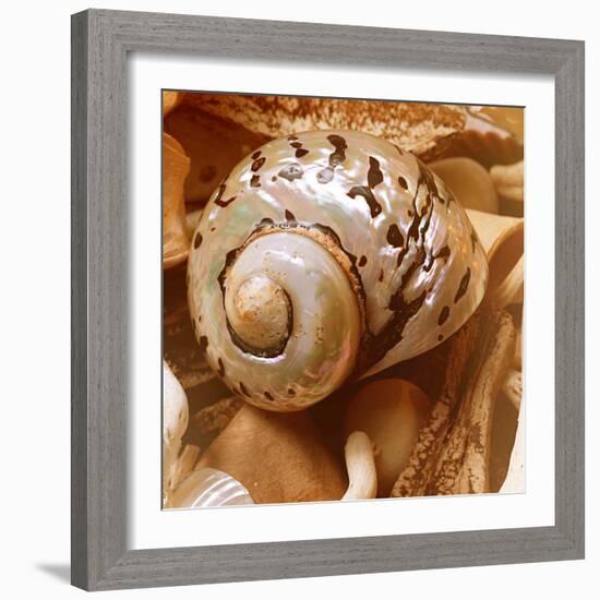 By the Seashore Square II-Susan Bryant-Framed Photographic Print