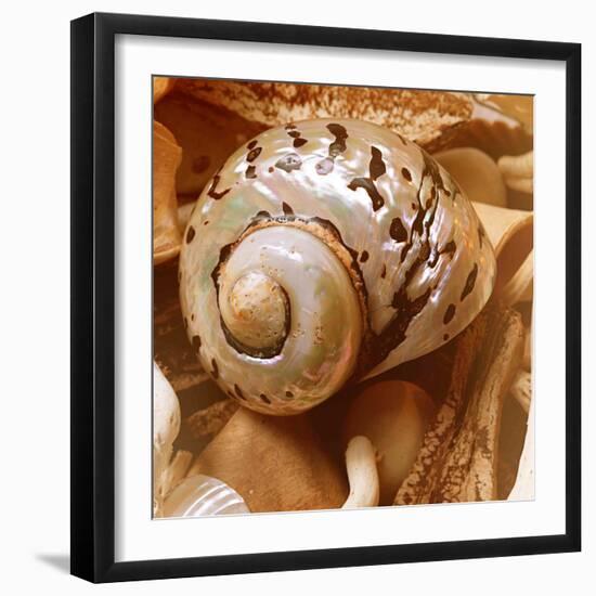 By the Seashore Square II-Susan Bryant-Framed Photographic Print