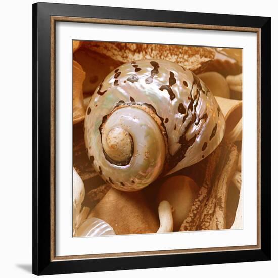 By the Seashore Square II-Susan Bryant-Framed Photographic Print