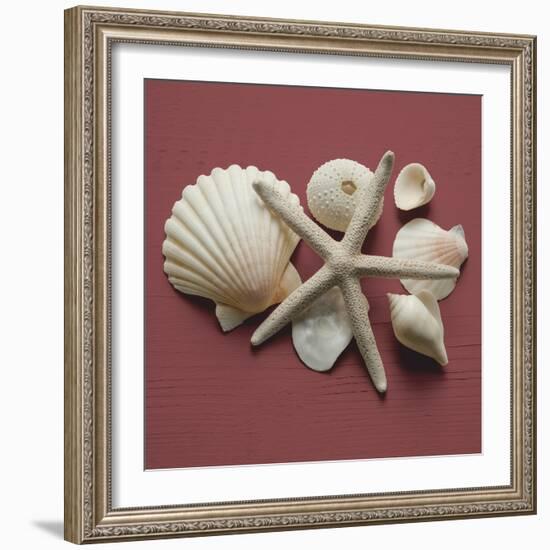 By the Shore I-Bill Philip-Framed Giclee Print