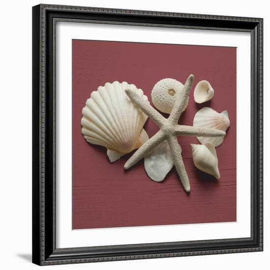 By the Shore I-Bill Philip-Framed Giclee Print