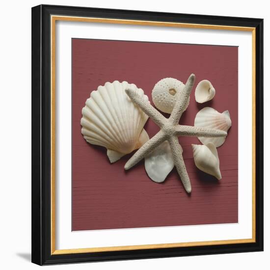 By the Shore I-Bill Philip-Framed Giclee Print