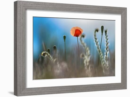 By the Side of the Road 1-Ursula Abresch-Framed Photographic Print