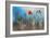 By the Side of the Road 1-Ursula Abresch-Framed Photographic Print