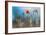 By the Side of the Road 1-Ursula Abresch-Framed Photographic Print