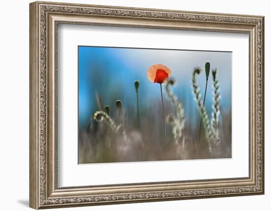 By the Side of the Road 1-Ursula Abresch-Framed Photographic Print