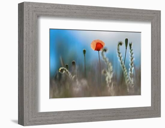 By the Side of the Road 1-Ursula Abresch-Framed Photographic Print