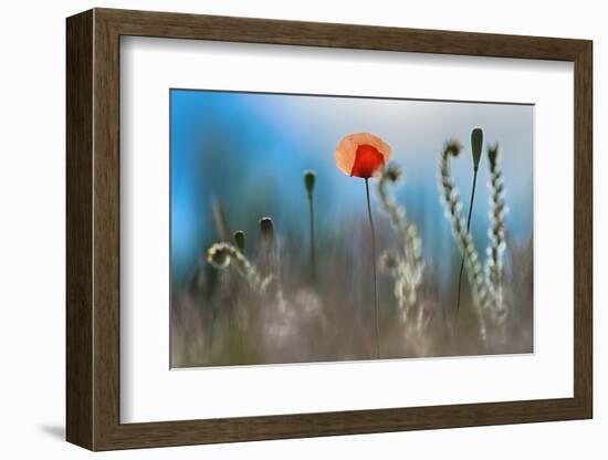 By the Side of the Road 1-Ursula Abresch-Framed Photographic Print