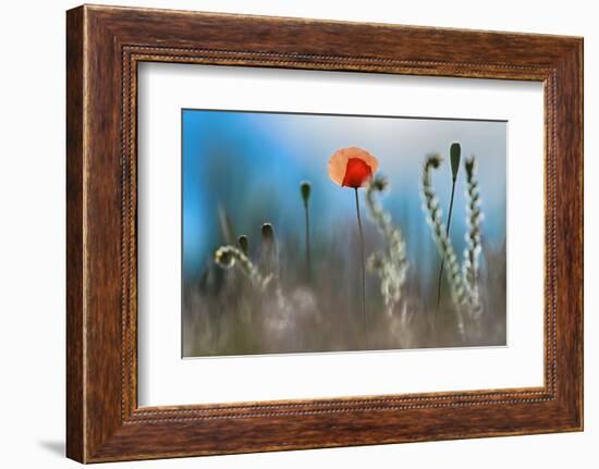 By the Side of the Road 1-Ursula Abresch-Framed Photographic Print